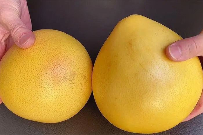 Mua bưởi, cứ học thuộc mẹo này là biết ngay bưởi ngon hay bưởi dở- Ảnh 2. Mua bưởi, cứ học thuộc mẹo này là biết ngay bưởi ngon hay bưởi dở- Ảnh 2.