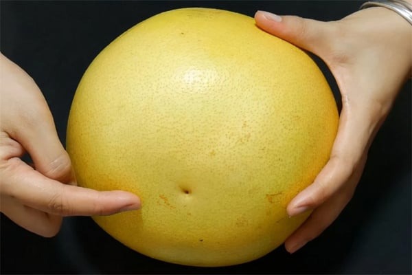 Mua bưởi, cứ học thuộc mẹo này là biết ngay bưởi ngon hay bưởi dở- Ảnh 3. Mua bưởi, cứ học thuộc mẹo này là biết ngay bưởi ngon hay bưởi dở- Ảnh 3.