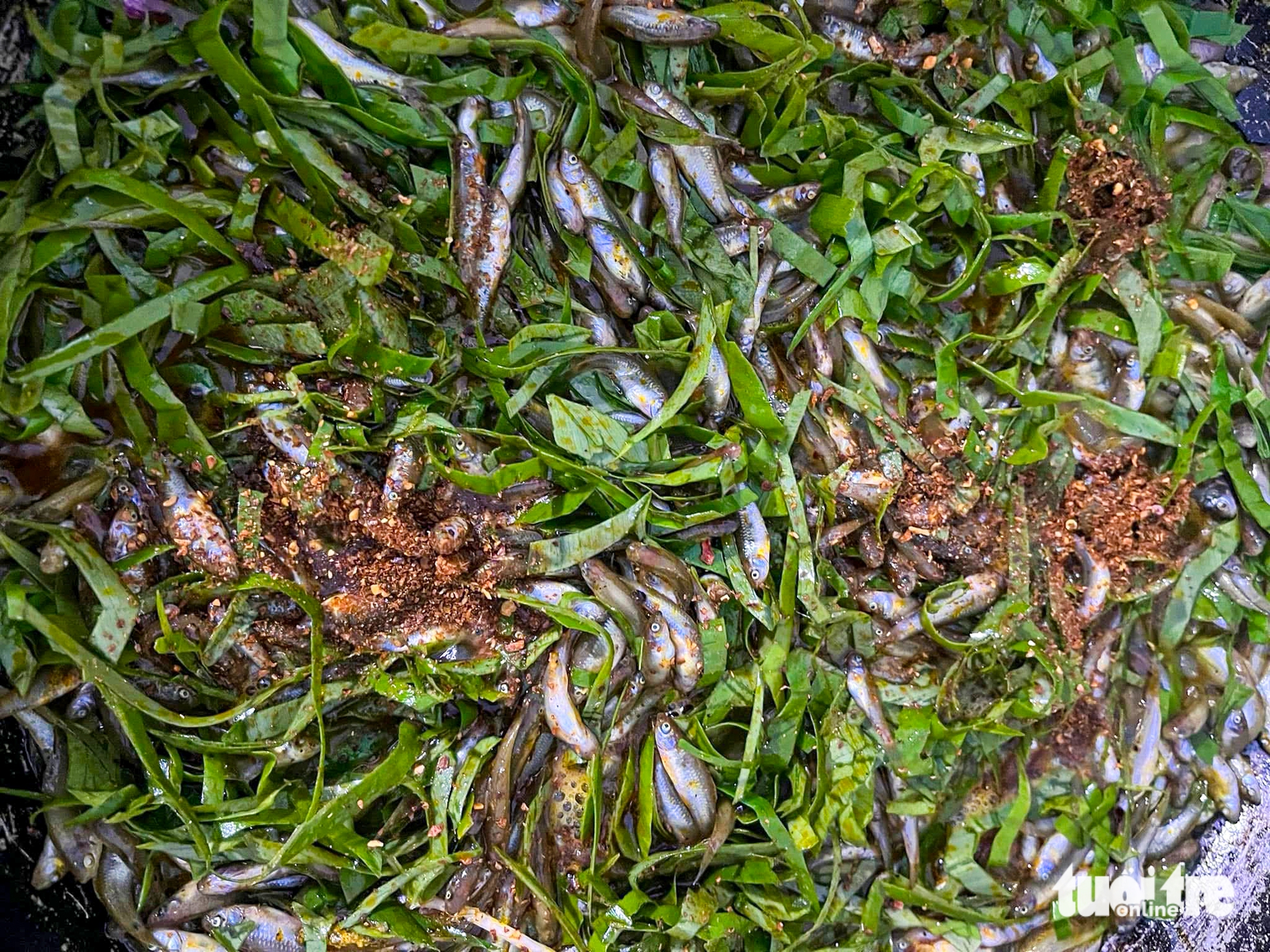 bắt cá - Ảnh 6.