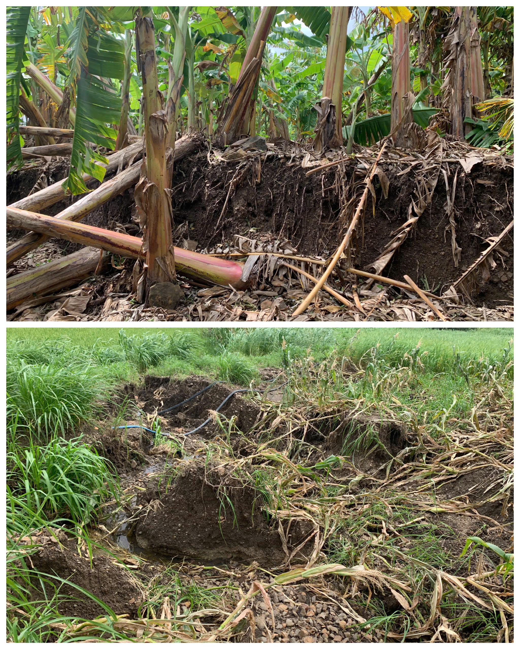 Đắk Lắk: Khẩn cấp di dời 13 hộ dân do sạt lở núi  - Ảnh 3.