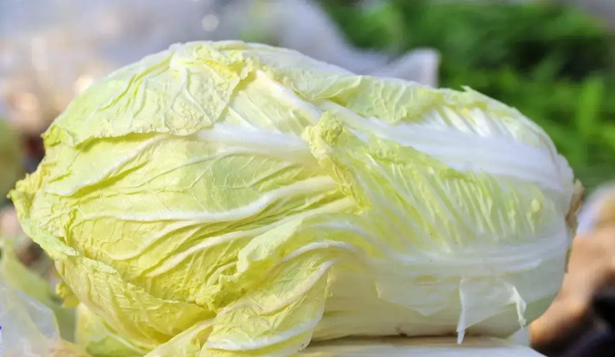 Mua cải thảo, nên chọn 