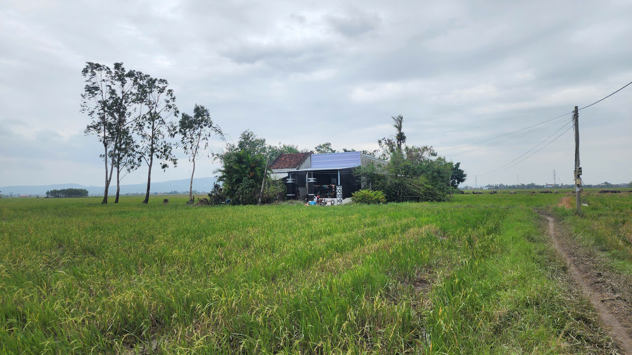 CLIP: Gặp lại người phụ nữ cùng 2 con nhỏ với lời kêu cứu ám ảnh trong lũ dữ - Ảnh 4.