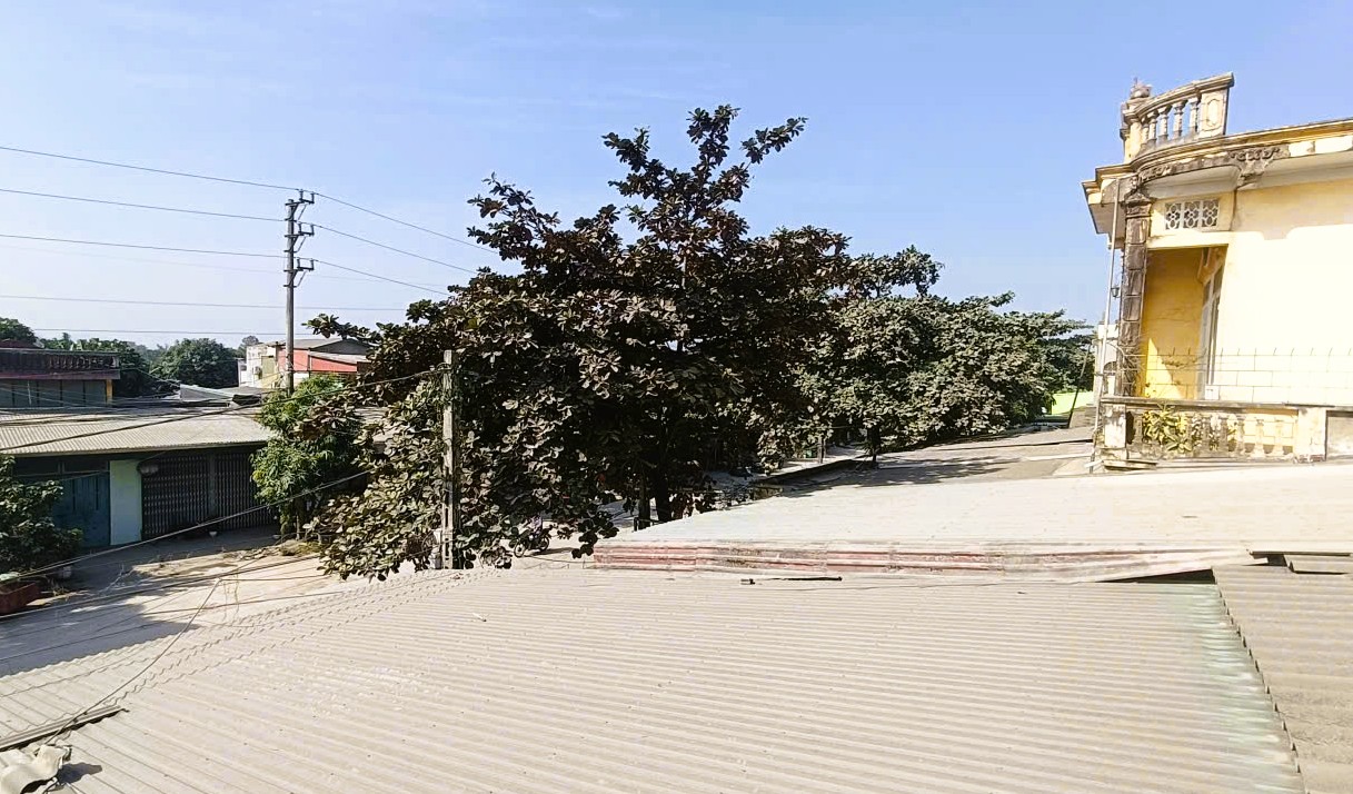 Nhà máy xi-măng Bỉm Sơn gặp sự cố, bụi đen bao trùm khu dân cư - Ảnh 2.