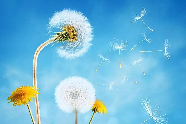 amp;#34;Mất điamp;#34; 3 điều này là điềm báo bạn chuẩn bị đón đại vận, hoàn toàn không mê tín - 2