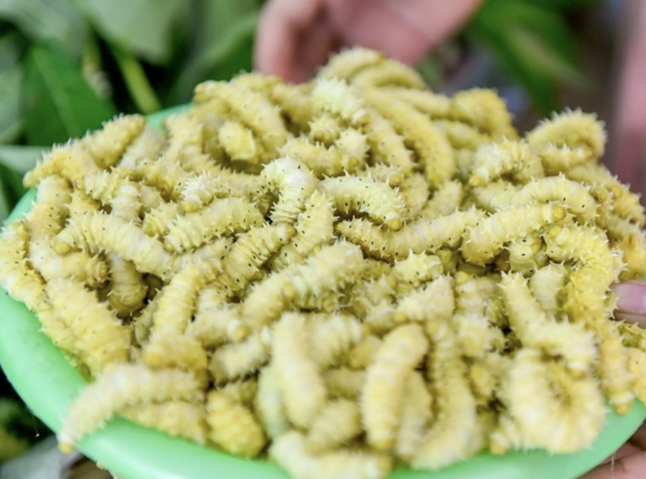 Món đặc sản Việt nhìn như 