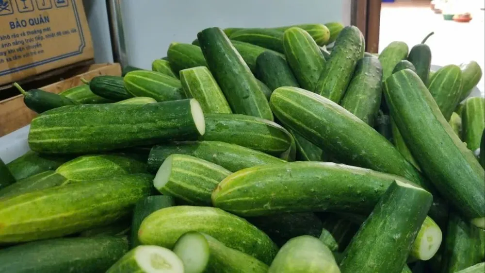 Dưa leo và nhiều thực phẩm khác được sơ chế sạch, bảo đảm vệ sinh. Ảnh: T.T người dân 1.jpg
