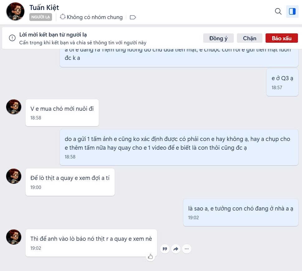 Nhức nhối trộm chó, mèo ở TP.HCM - Kỳ 2: Dùng AI tạo chó giả để lừa tiền chuộc- Ảnh 9.