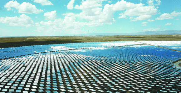 thả cừu ở nhà máy điện mặt trời, sáng kiến thú vị, cừu trong nhà máy điện