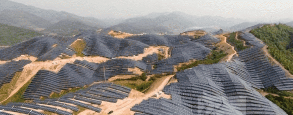 thả cừu ở nhà máy điện mặt trời, sáng kiến thú vị, cừu trong nhà máy điện