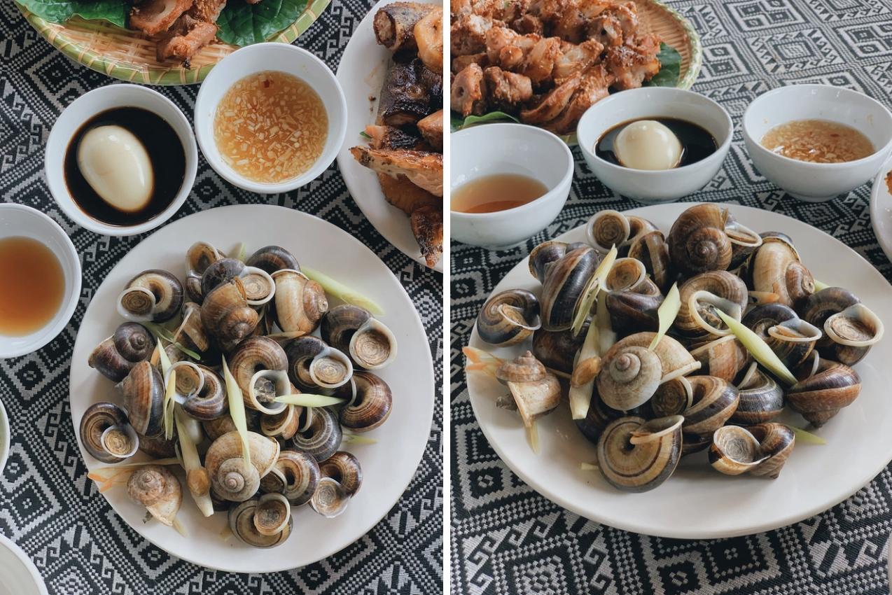 Loài vật tưởng chỉ có dưới nước, ai ngờ còn Loài vật tưởng chỉ có dưới nước, ai ngờ còn