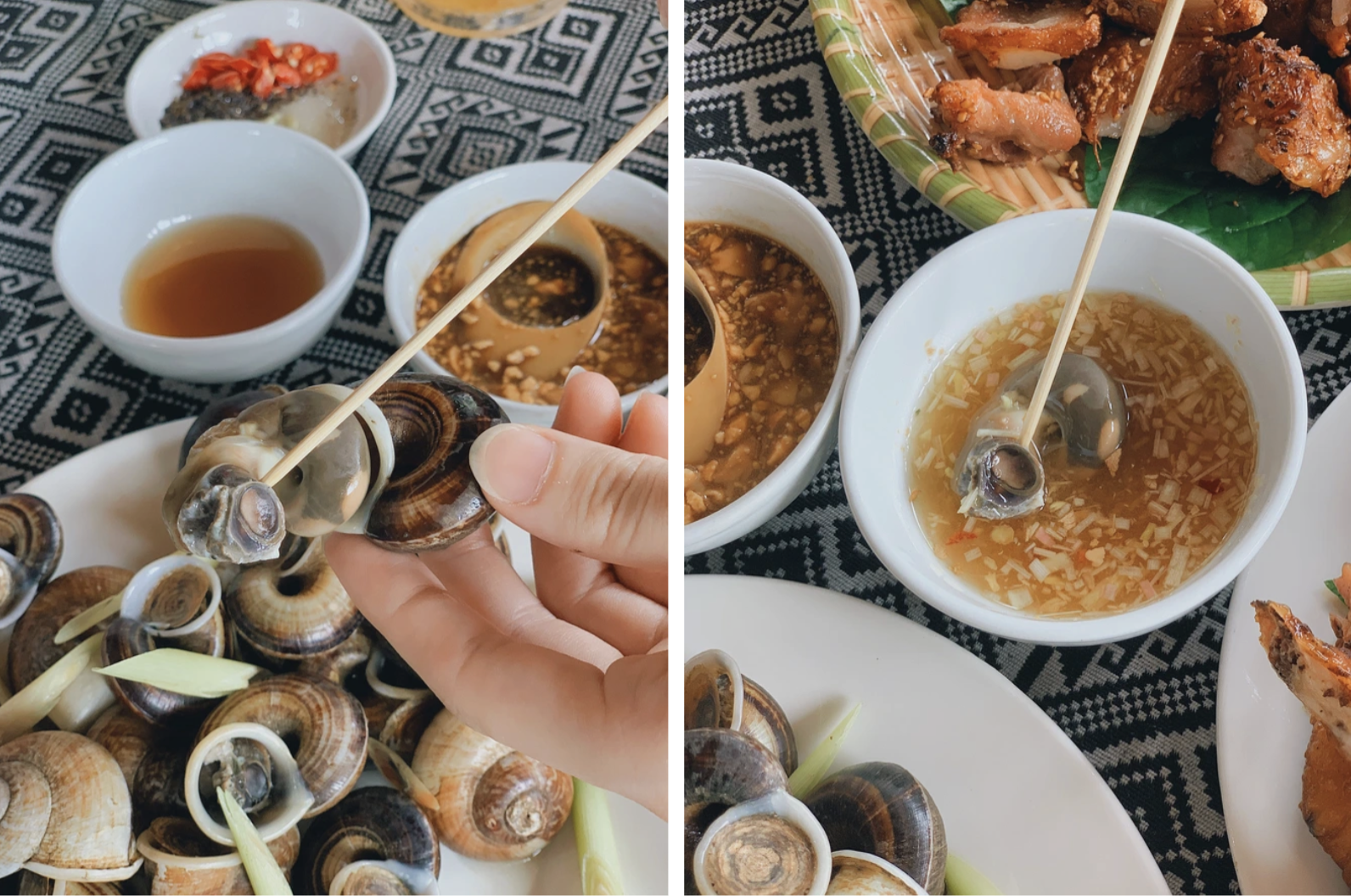 Loài vật tưởng chỉ có dưới nước, ai ngờ còn Loài vật tưởng chỉ có dưới nước, ai ngờ còn