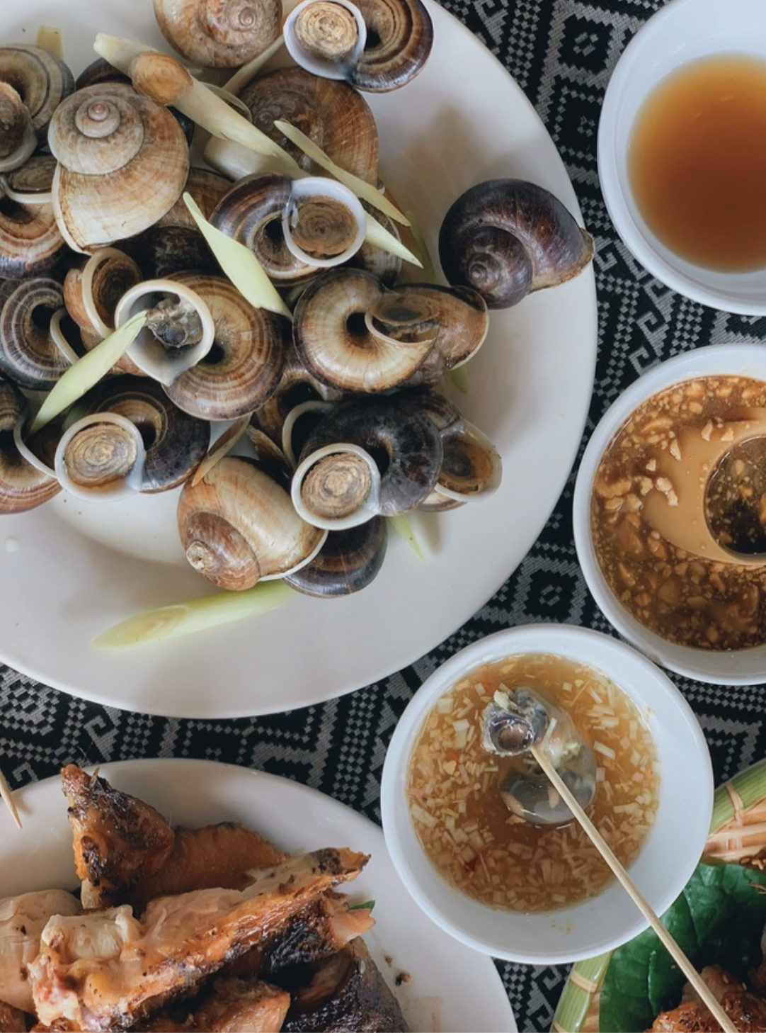 Loài vật tưởng chỉ có dưới nước, ai ngờ còn Loài vật tưởng chỉ có dưới nước, ai ngờ còn