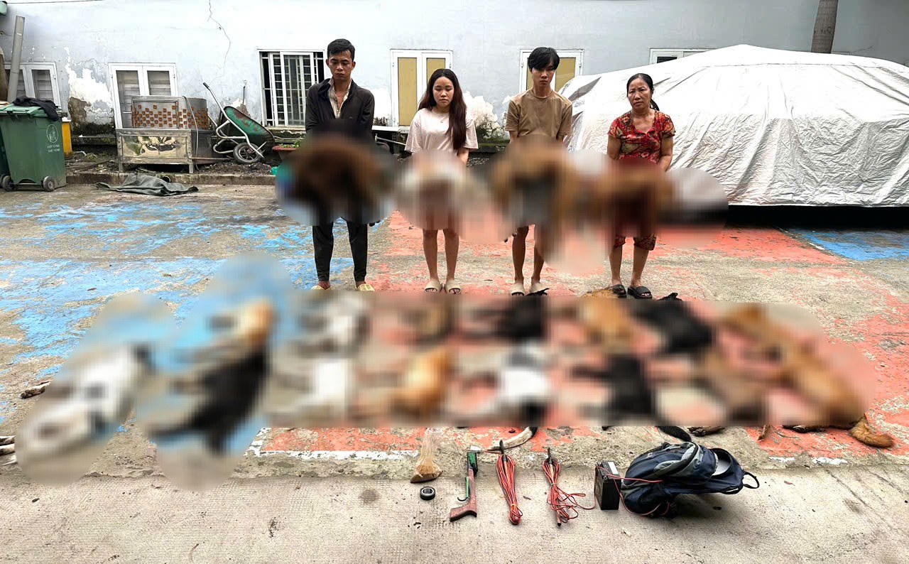 Công an TP.HCM mạnh tay dẹp nạn trộm chó, mèo và chợ thịt chó 'đen'- Ảnh 1.