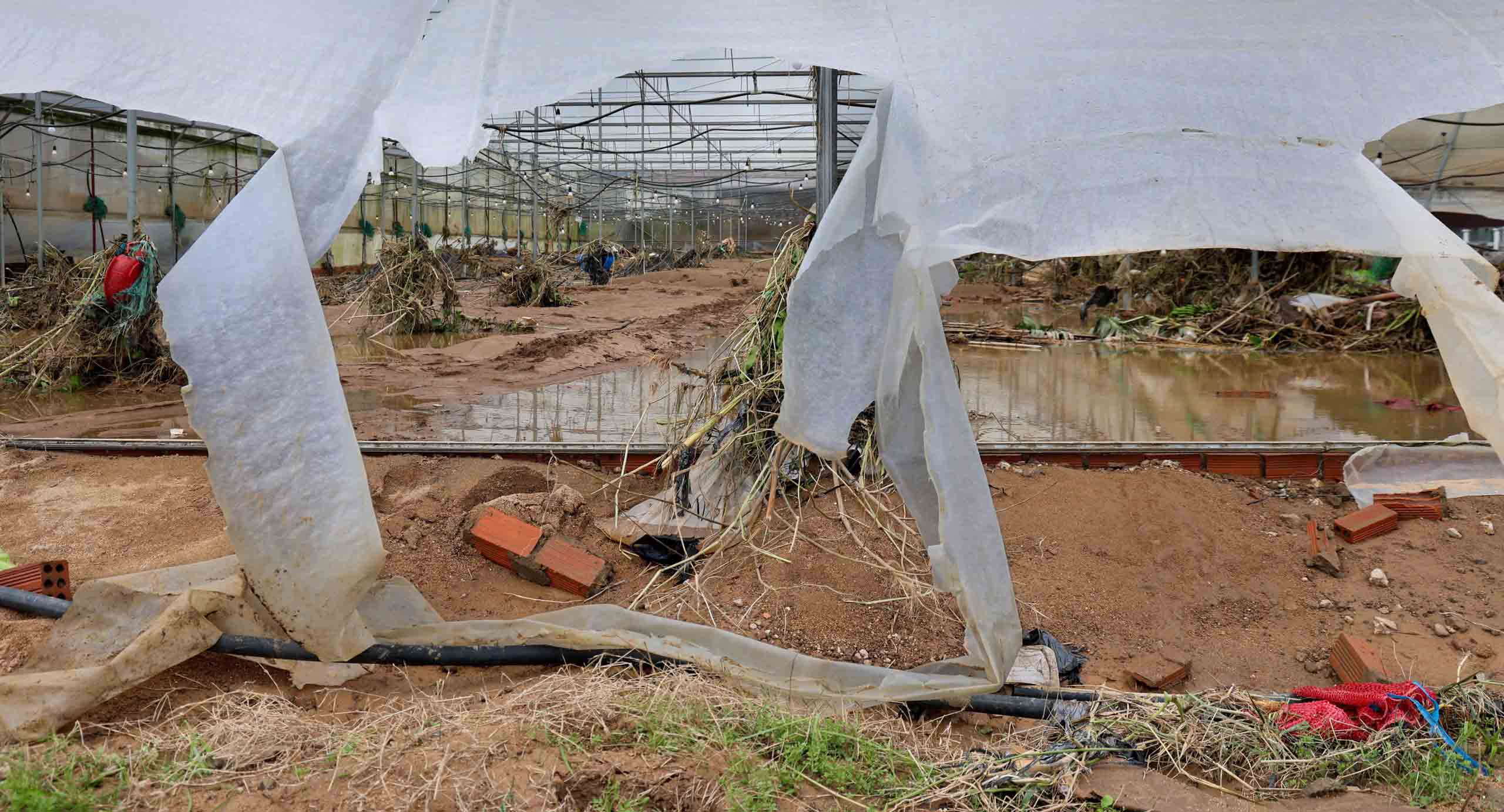 Lũ cuốn trôi “thủ phủ” rau Lâm Đồng - Ảnh 2.