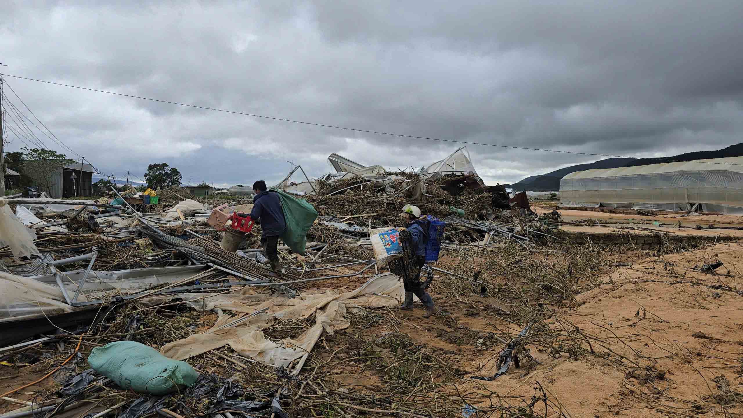 Lũ cuốn trôi “thủ phủ” rau Lâm Đồng - Ảnh 3.