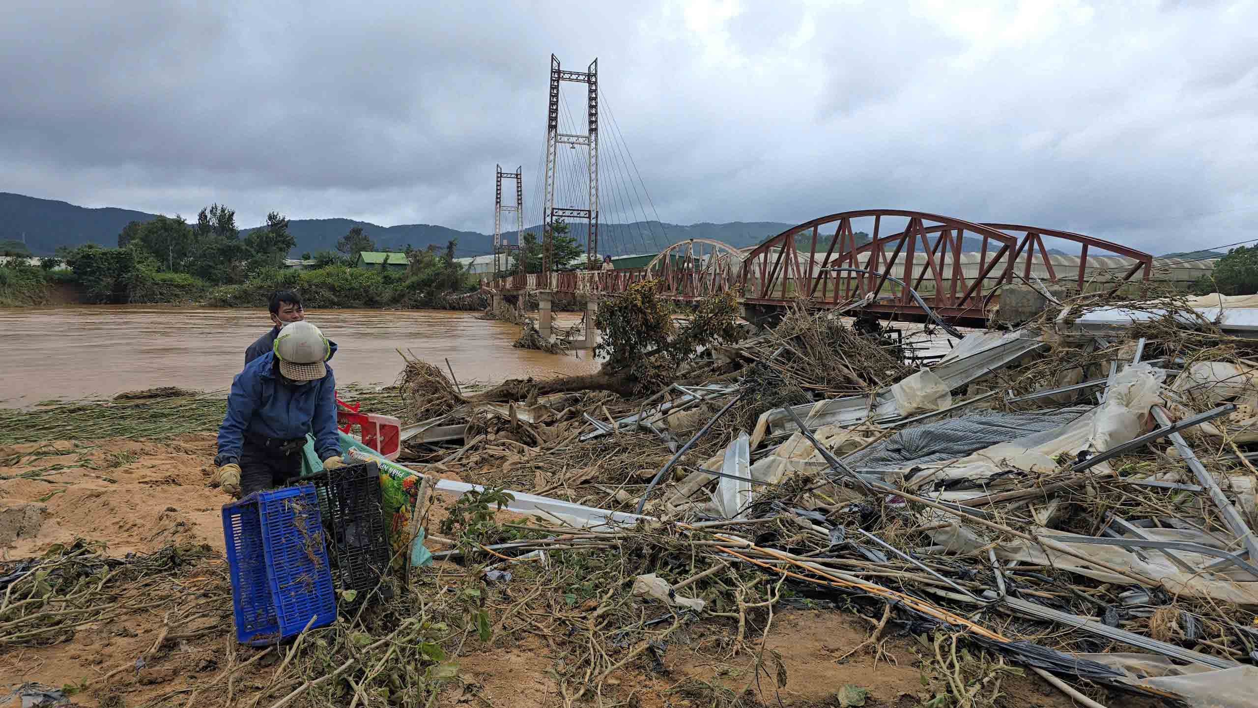 Lũ cuốn trôi “thủ phủ” rau Lâm Đồng - Ảnh 5.