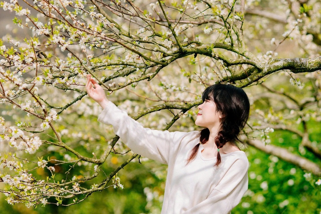 Nông nghiệp xanh ở Sơn La tạo nên thương hiệu du lịch nông thôn Tây Bắc - 3