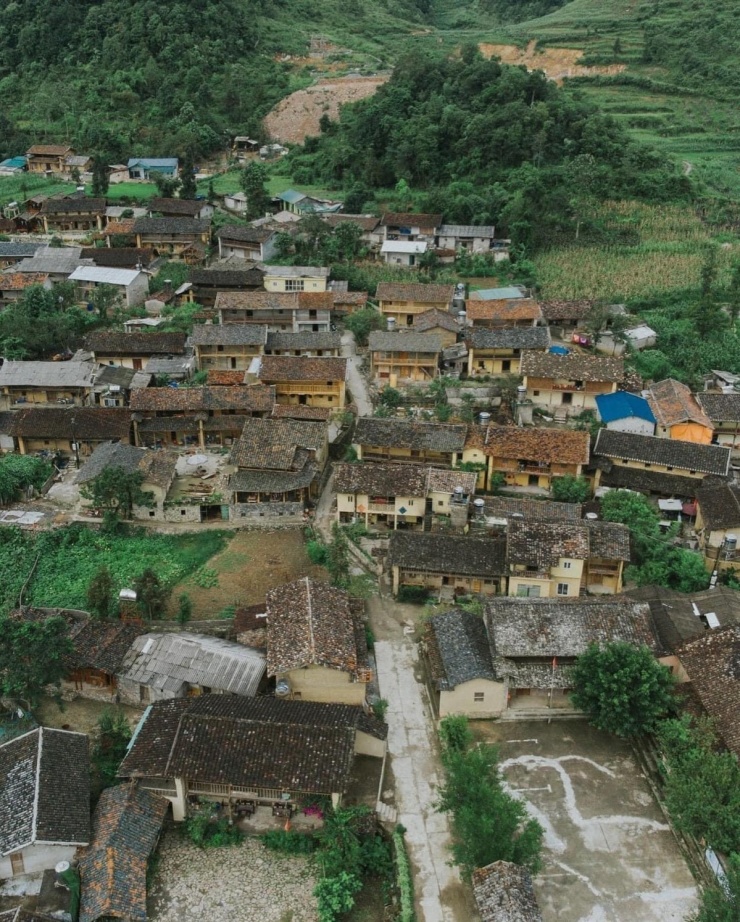 Cây hồng 'khổ nhất Việt Nam' hút khách check in làng Lô Lô Chải - 8