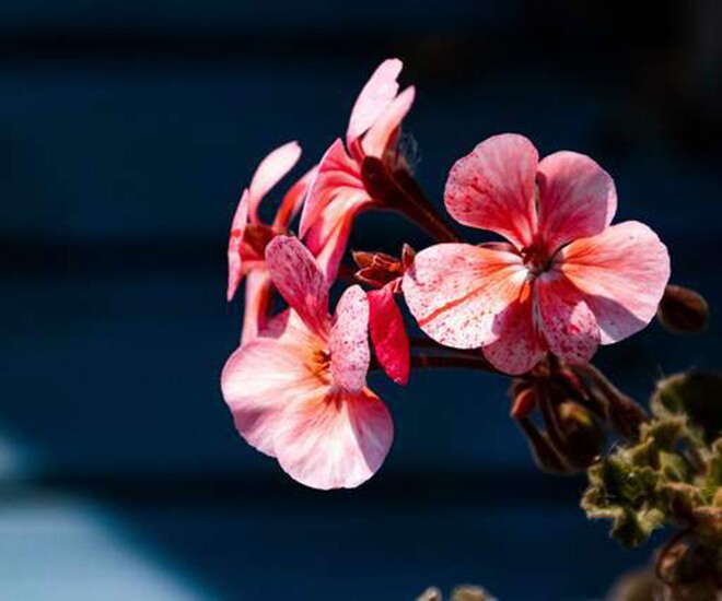 3 thói quen người khôn ngoan thường che giấu, kẻ dại lại rất thích khoe - 1