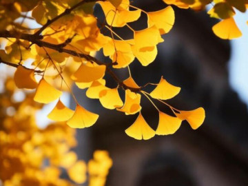 Quan hệ khăng khít đến mấy cũng phải nhớ 3 không này, đó mới là khôn ngoan, tỉnh táo