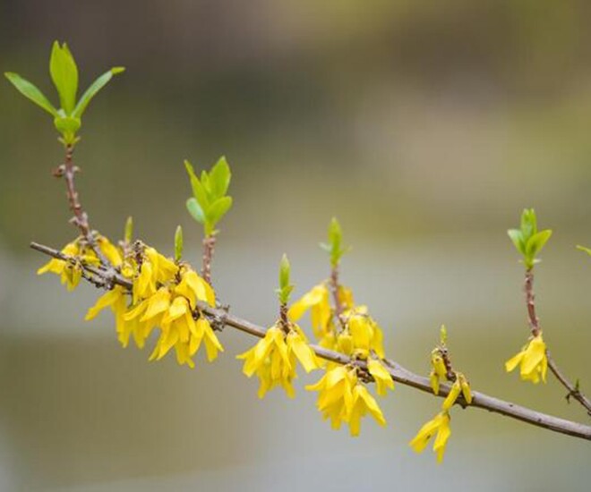 3 thói quen những người may mắn, hạnh phúc quyết nói không, nhiều người vẫn nói có - 1