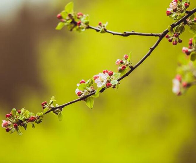 4 chữ trông đơn giản nhưng là khả năng phi thường nhất ở một người 2 4 chữ trông đơn giản nhưng là khả năng phi thường nhất ở một người - 2