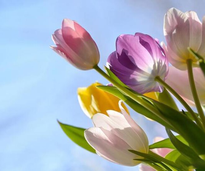 4 chữ trông đơn giản nhưng là khả năng phi thường nhất ở một người 1 4 chữ trông đơn giản nhưng là khả năng phi thường nhất ở một người - 1