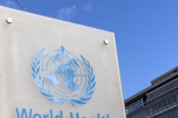 Nghiên cứu mới nhất của WHO về mối liên hệ giữa điện thoại di động và ung thư não