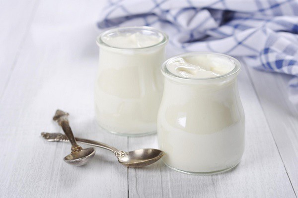 Sữa chua chứa nhiều lợi khuẩn (probiotic), đặc biệt là Lactobacillus giúp ức chế sự phát triển của các vi khuẩn có hại gây mùi hôi miệng.