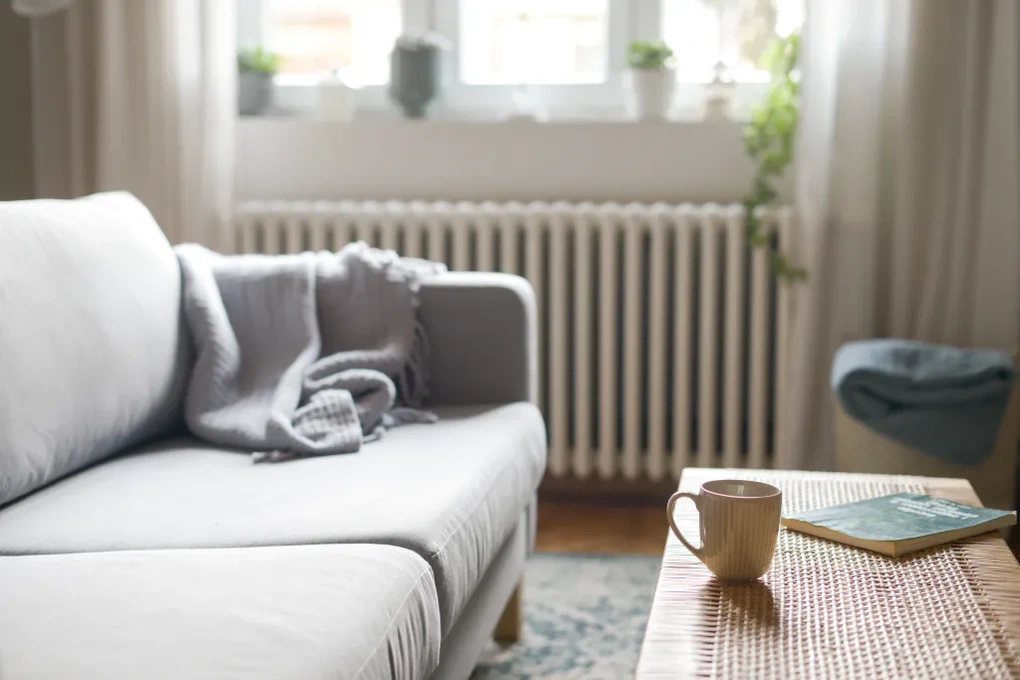 5 mẹo giữ ấm nhà cửa hiệu quả trong mùa đông - 1