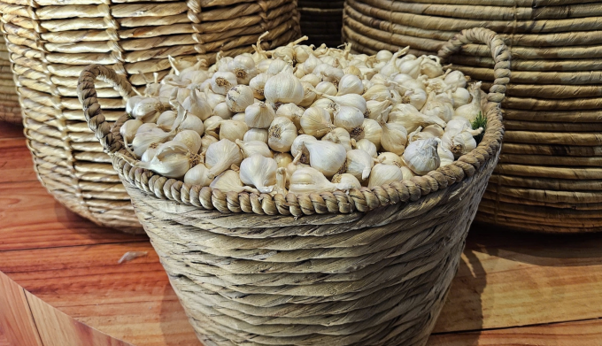 Tỏi chứa nhiều hợp chất chống viêm và chống oxy hóa, có khả năng giảm viêm thận. Ảnh: Thi Hà