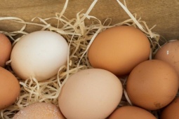 Điều gì xảy ra nếu bạn ăn 2 quả trứng mỗi ngày?