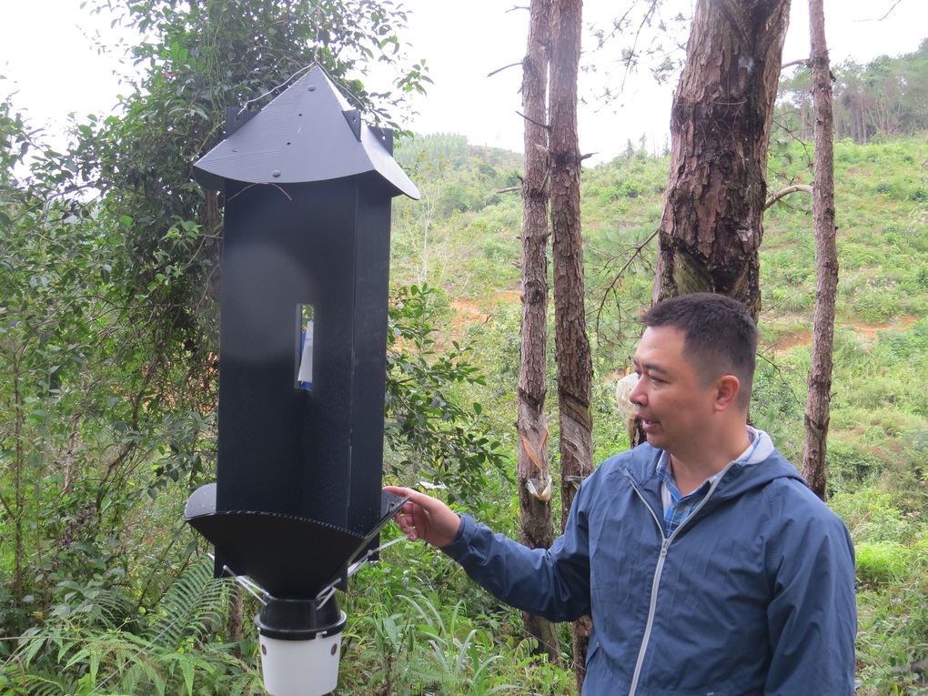 Australia giúp Việt Nam bảo vệ rừng trước nguy cơ từ sinh vật ngoại lai - 1