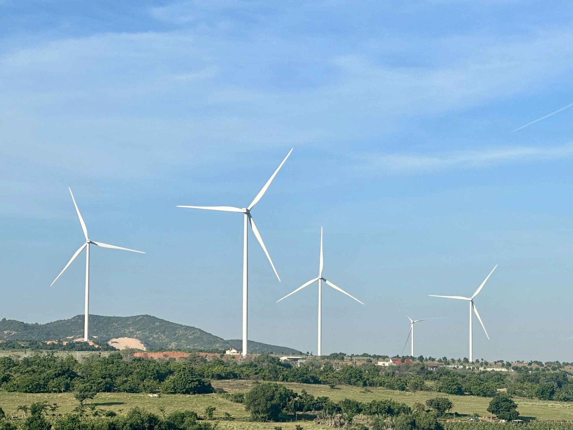 Băn khoăn điện tái tạo bị cắt giảm công suất- Ảnh 1.