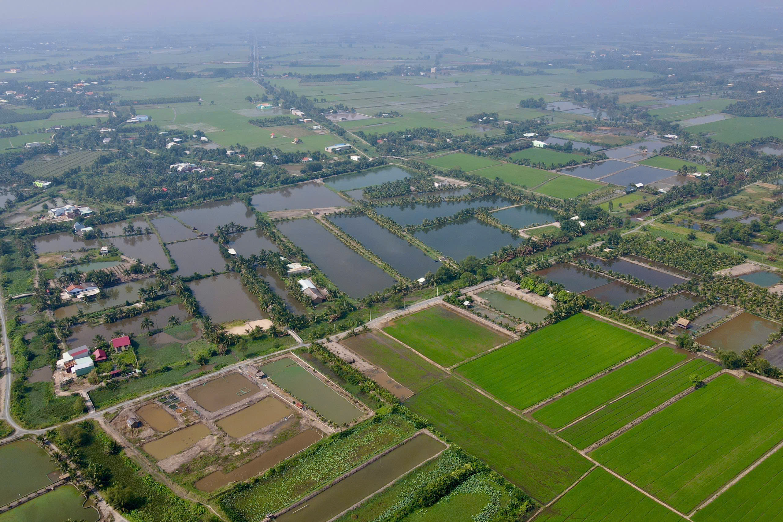 Bảng giá đất nông nghiệp TP.HCM dự kiến tăng, kéo giảm chênh lệch khi chuyển sang đất ở 1 Bảng giá đất nông nghiệp TP.HCM dự kiến tăng, kéo giảm chênh lệch khi chuyển sang đất ở - Ảnh 1.