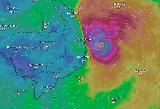Bão số 13 Kalmaegi đổ bộ giật cấp 15 - 16 tại Quảng Ngãi – Gia Lai - Ảnh 1.