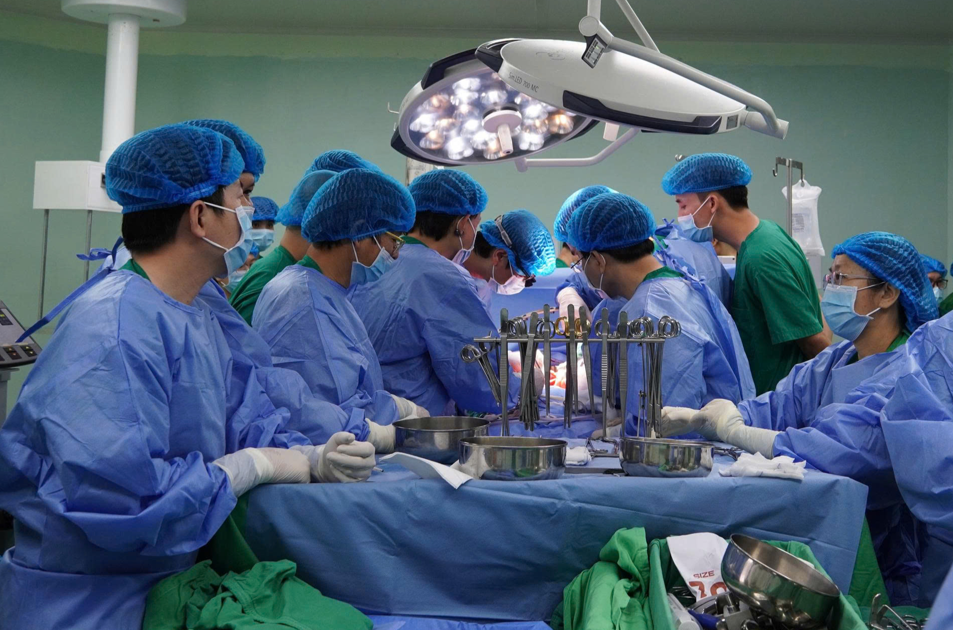 ghép thận - Ảnh 1.