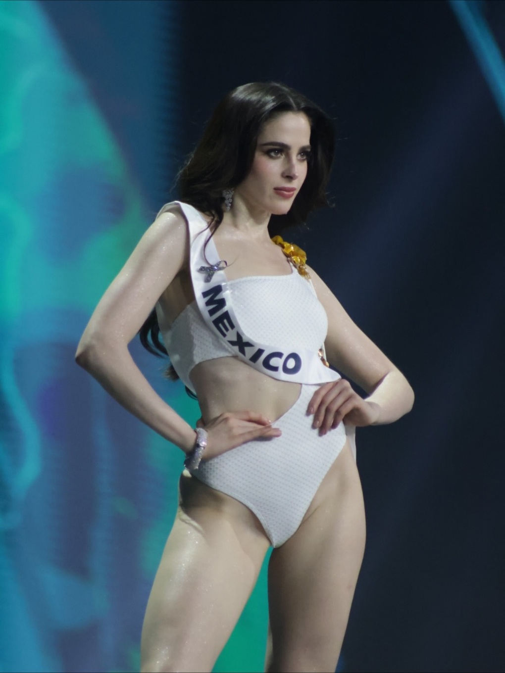 Bị tố “mua giải”, tân Hoa hậu Hoàn vũ chính thức lên tiếng - 2