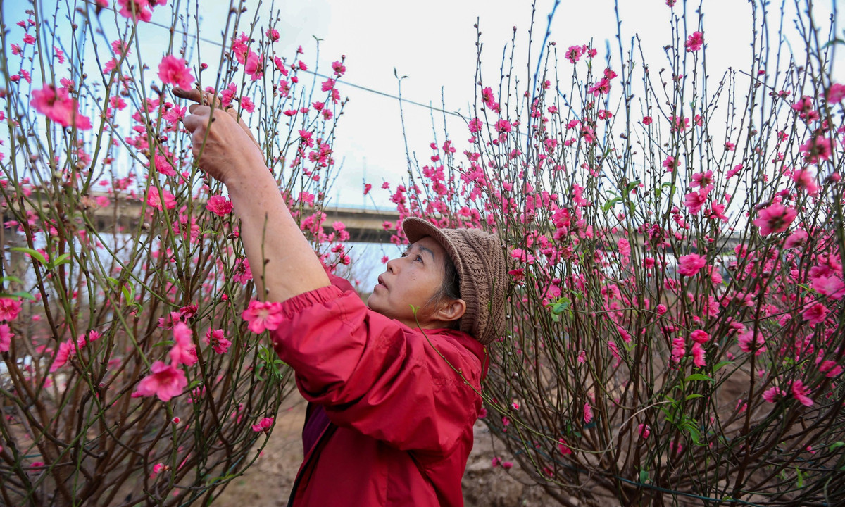 Bộ Nội vụ yêu cầu báo cáo kế hoạch thưởng Tết trước 25/12- Ảnh 1.