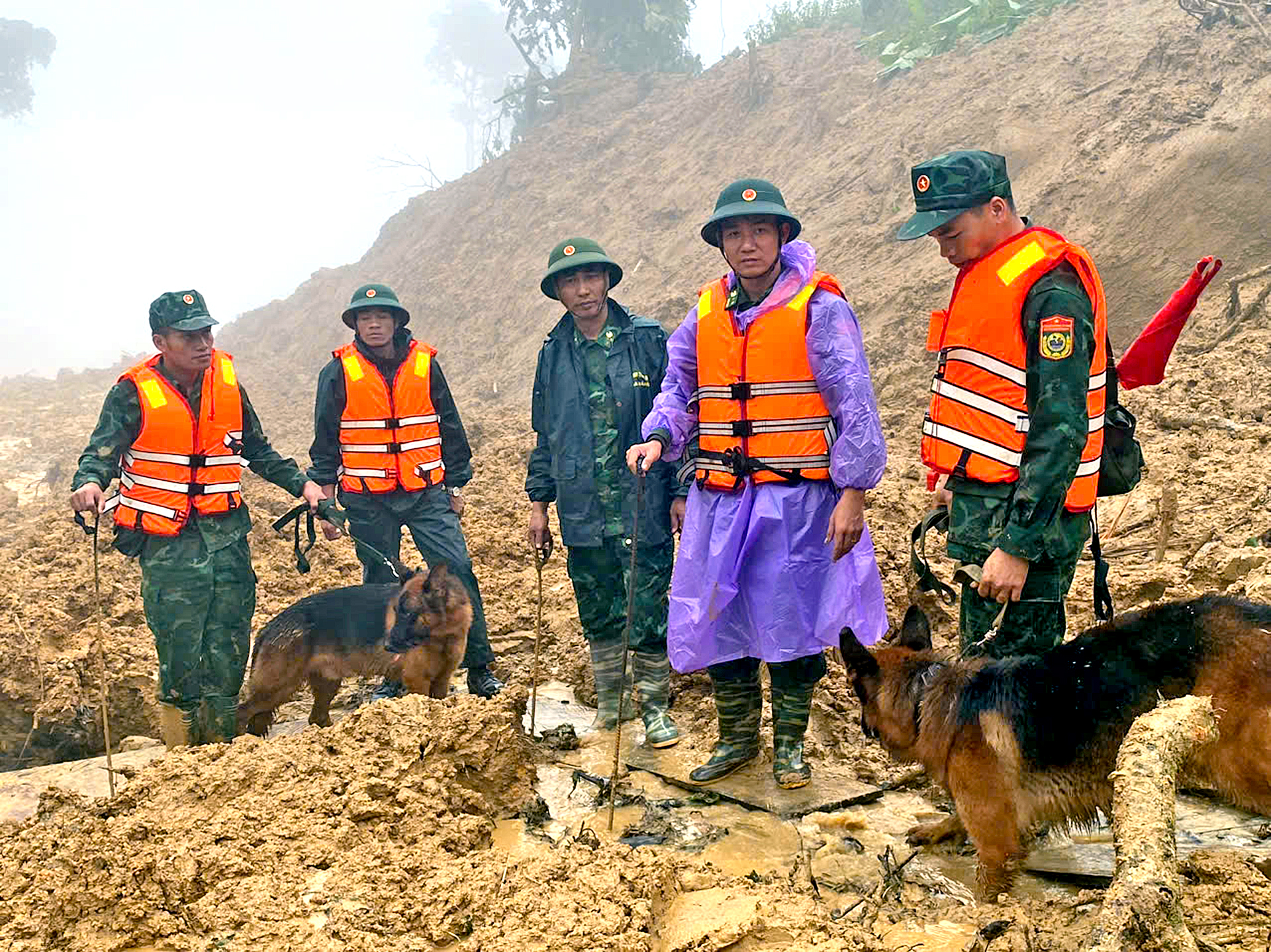 cô lập - Ảnh 1.