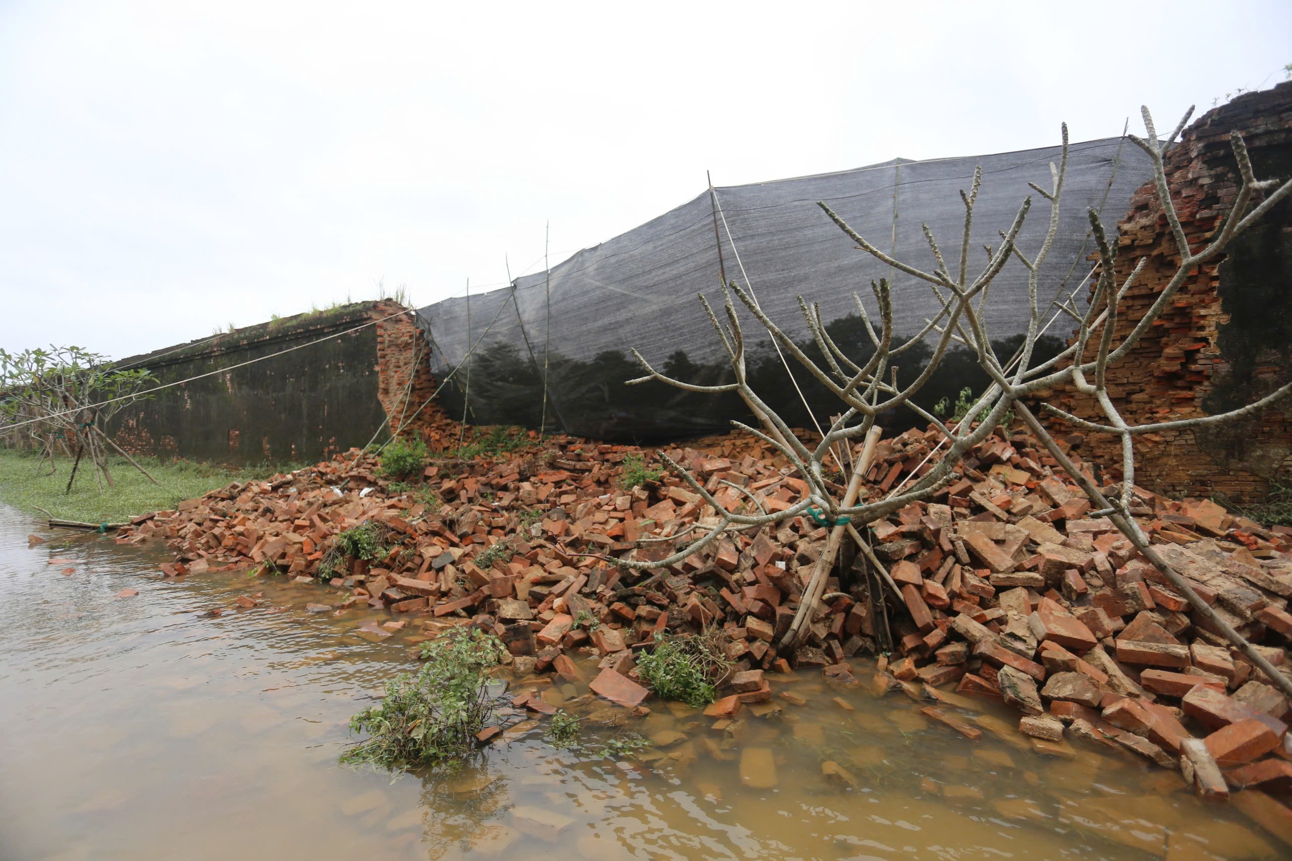 Sập tường trong Hoàng thành Huế: Bộ VH-TT-DL yêu cầu rà soát, ưu tiên khắc phục- Ảnh 1.