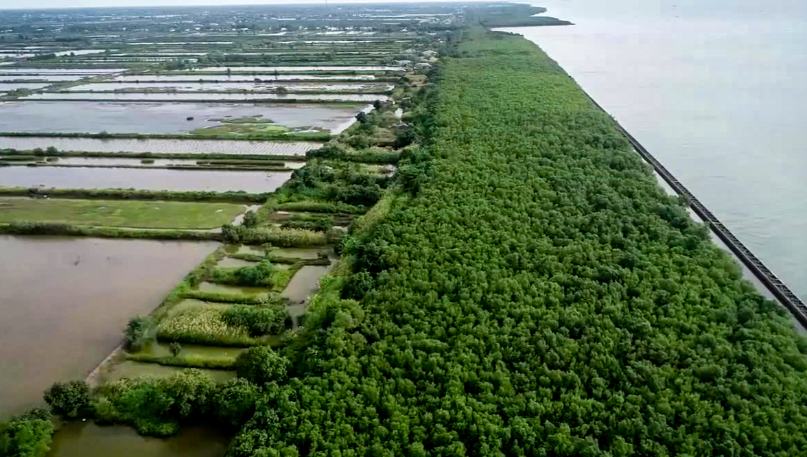 Cà Mau phê duyệt làm kè gần 100 tỉ đồng với giải pháp ‘giảm sóng từ xa’ 1 Cà Mau phê duyệt làm kè gần 100 tỉ đồng với giải pháp ‘giảm sóng từ xa’ - Ảnh 1.