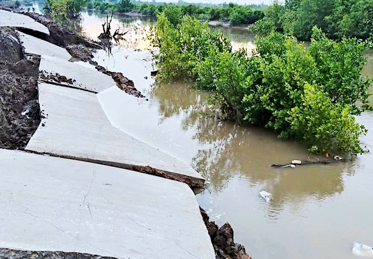 Cà Mau phê duyệt làm kè gần 100 tỉ đồng với giải pháp ‘giảm sóng từ xa’ - Ảnh 2.