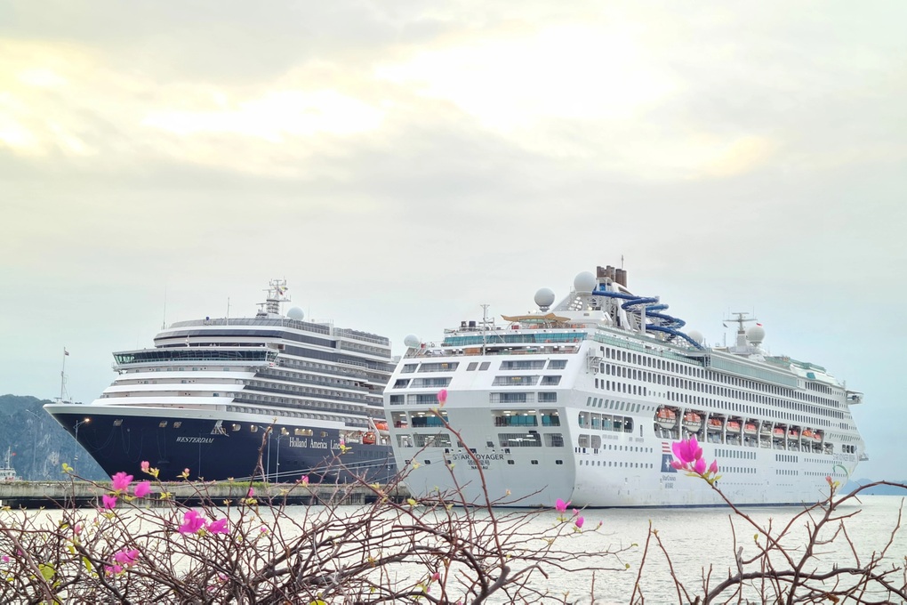 Cảng tàu khách quốc tế Hạ Long dự kiến đón 32.000 lượt khách dịp cuối năm - 1