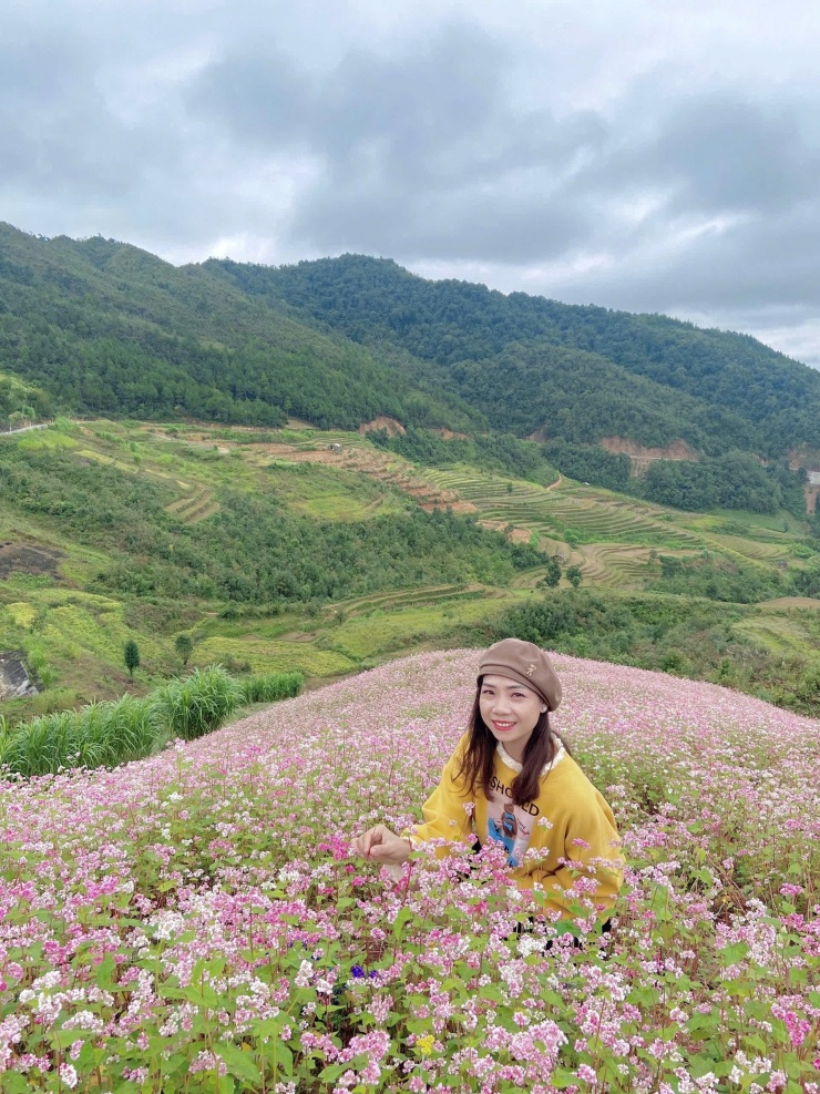 Một đồi hoa tam giác mạch đang nở rộ ở Lũng Cú. Ảnh: Nam Xuân Lê