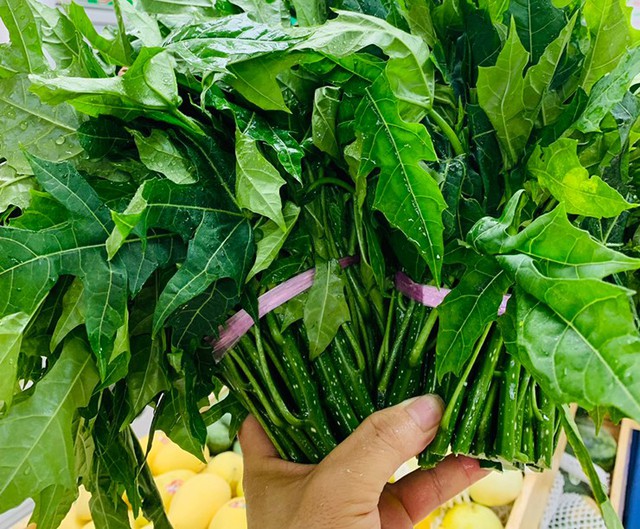 Cây rau nghe tên đã ngọt, trở thành món ăn lạ miệng được nhiều người ưa chuộng- Ảnh 2.