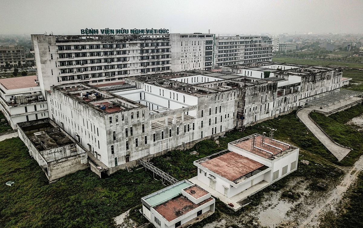 Nguyễn Thị Kim Tiến - Ảnh 2.