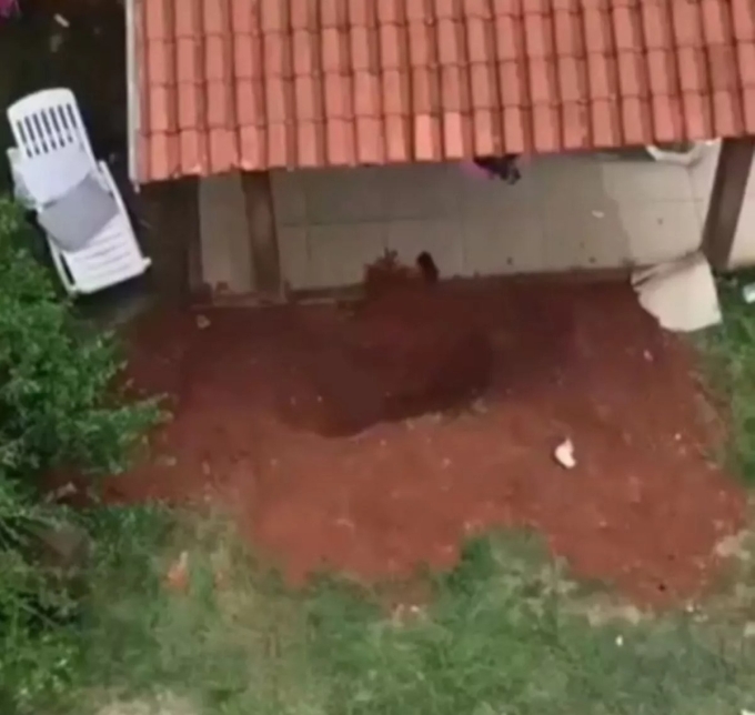 Nơi chôn thi thể Alex Sandro da Silva Rocha. Ảnh: Mirror