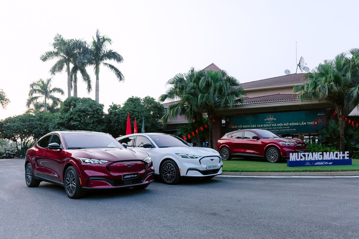 Ford Mustang Mach-E - Ảnh 1.