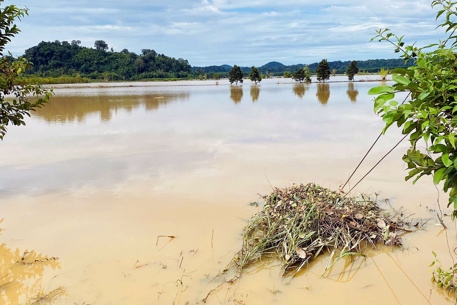 Chính quyền xã ở Đồng Nai nói không nhận được thông báo chính thức thủy điện xả lũ 1 thủy điện - Ảnh 1.
